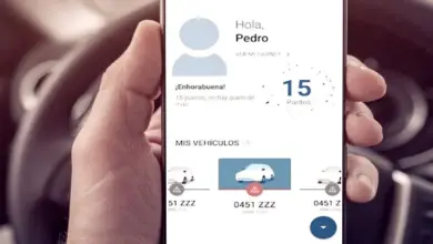 Cómo consultar mis puntos DGT