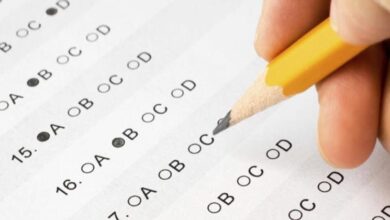 Cómo consultar la nota examen DGT