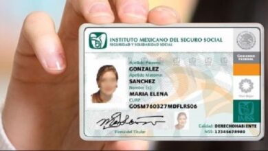 Cómo Sacar tu Número de Seguro Social (NSS) en México Cómo Consultar tu Número de Seguro Social (NSS) en México Cómo Recuperar o Confirmar tu Número de Seguro Social (NSS) en México Cómo Imprimir tu Número de Seguro Social IMSS en Línea