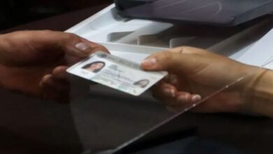 Reposición de INE en Línea