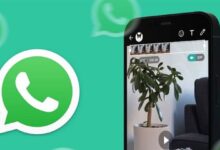 How to add movies to WhatsApp statuses