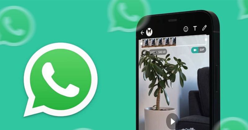 How to add movies to WhatsApp statuses