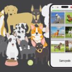 Conoce la app que tiene un quiz de raza de perro para que te desafíes