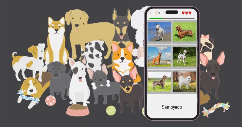 Conoce la app que tiene un quiz de raza de perro para que te desafíes