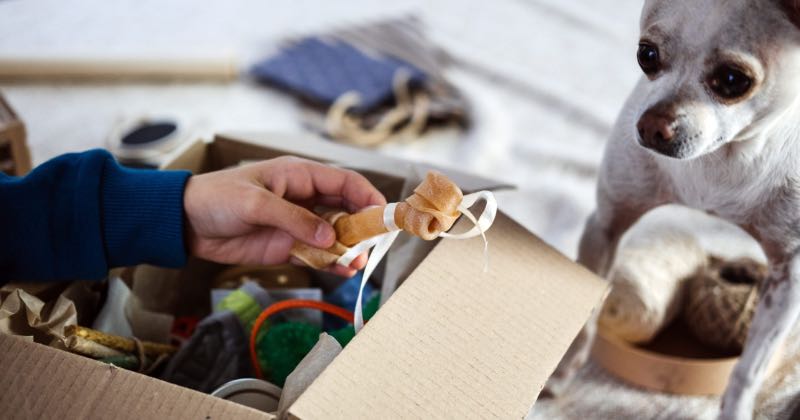 ¿Qué es una caja de suscripción para mascotas?