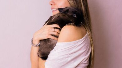 What does pet insurance cover