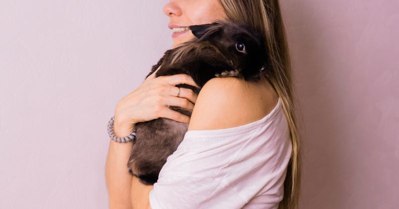 What does pet insurance cover