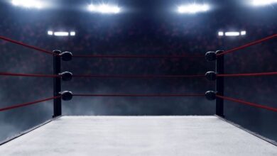 Aprende a boxear con las mejores aplicaciones desde casa