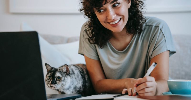 Why Should You Consider Pet Insurance?