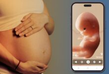 Pregnancy Tracker App: Your Companion Through Motherhood