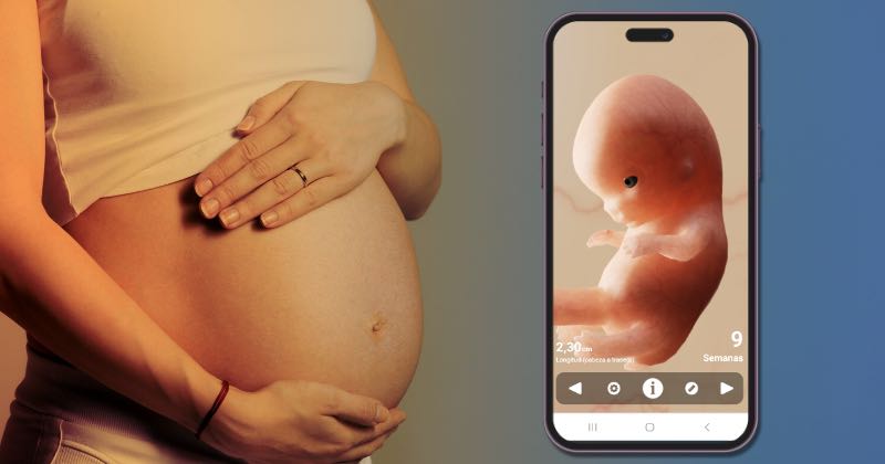 Pregnancy Tracker App: Your Companion Through Motherhood