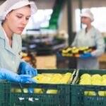 EMPLEOS DE EMPAQUE DE VEGETALES