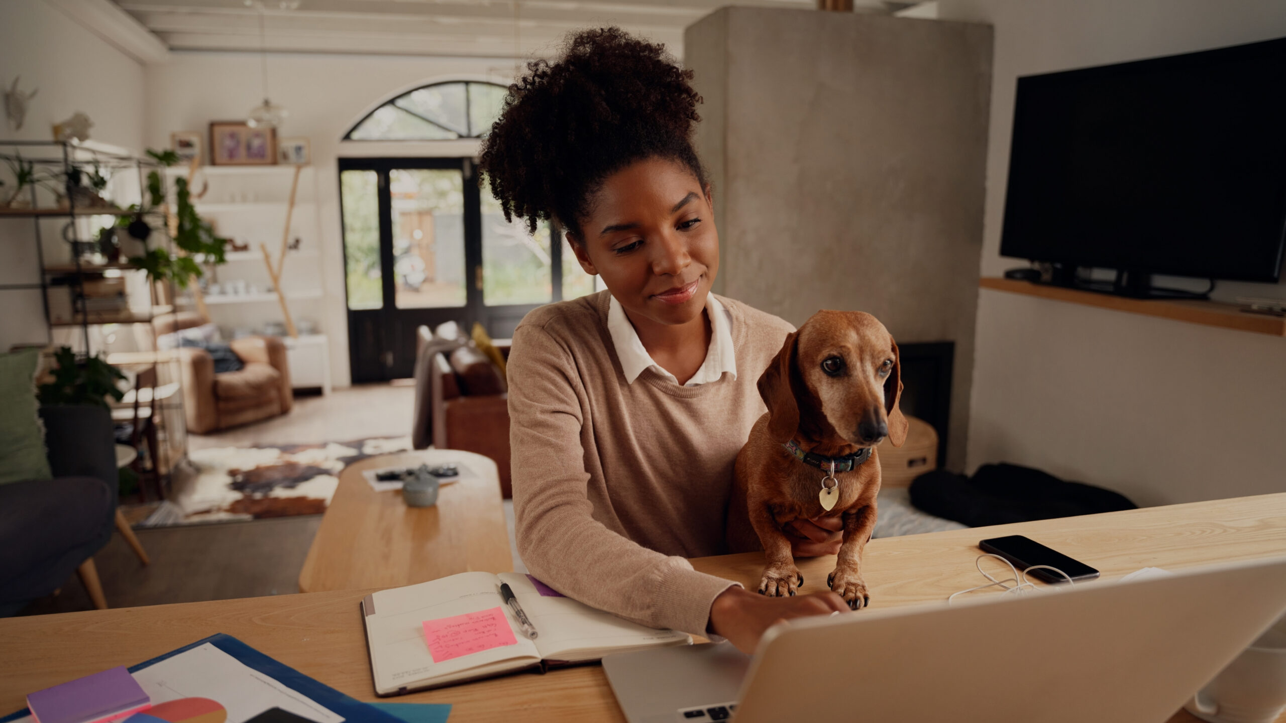 Esta guía tiene como objetivo iluminar el extraordinario mundo de las nuevas guarderías para perros en su vecindario y de las empresas de cuidado de mascotas de alto nivel.