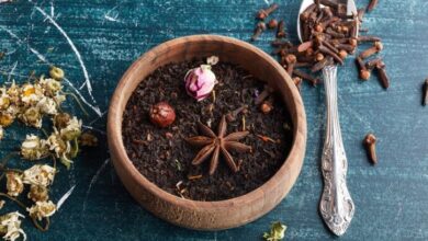 Cómo Cultivar Anís Estrellado en Casa