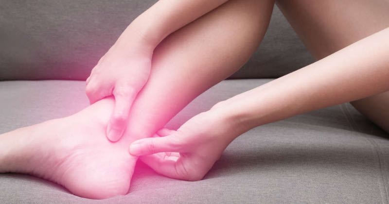 Planta Curativa Que Cura Desde la Cabeza a los Pies