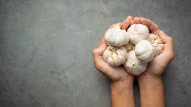 Poder Curativo del Ajo