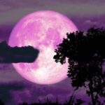 cuándo podrás ver la espectacular luna de fresa