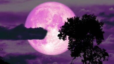 cuándo podrás ver la espectacular luna de fresa