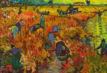 Entre luces, juegos y paisajes: un día lleno de contrastes