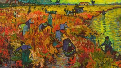 Entre luces, juegos y paisajes: un día lleno de contrastes