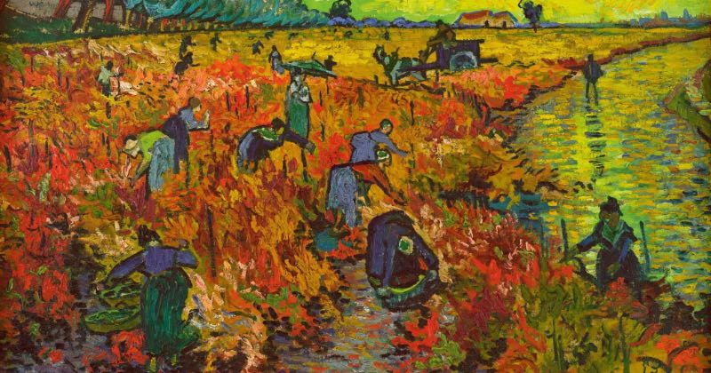 Entre luces, juegos y paisajes: un día lleno de contrastes