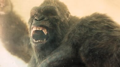 Every Titan in the Monsterverse: Exploring Godzilla, Kong and the Expanding Pantheon of Legendary Beasts