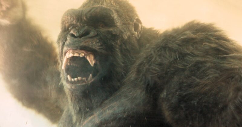 Every Titan in the Monsterverse: Exploring Godzilla, Kong and the Expanding Pantheon of Legendary Beasts
