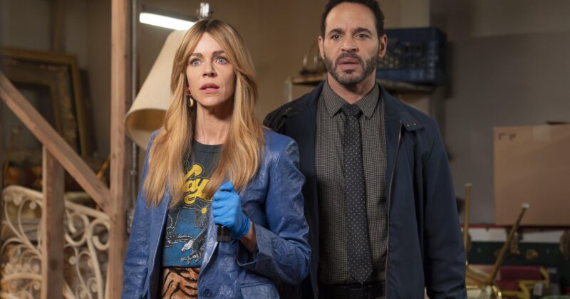 Hulu's Must-Watch Crime Drama: Why Graceland Is the Perfect Binge for High Potential Fans