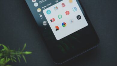 App de alfabetización para adultos: aprende fácilmente desde tu smartphone