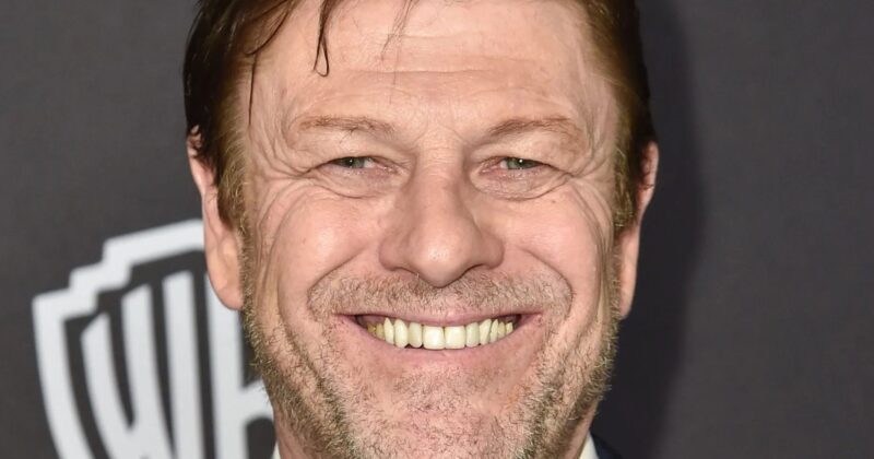 MGM+ Expands 'Robin Hood' With a Gritty Season 2 After Breakout Streaming Success