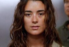 NCIS prepara uno de los regresos más impactantes y dolorosos de su historia