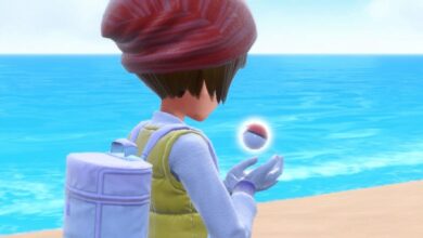 The Mysterious Pokémon Project Karasu Leak: What We Know So Far