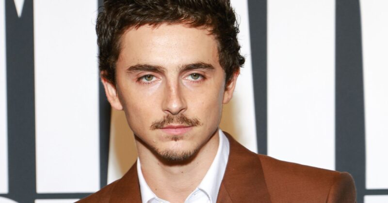 Timothée Chalamet Is On The Verge Of Making Awards History