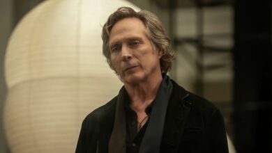 AMC Cancels Talamasca: The Secret Order, Shifting the Future of Anne Rice's Immortal Universe