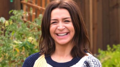 Amelia Shepherd Defies the Romance Curse in Grey's Anatomy: A Landmark Moment for the Series