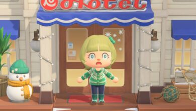 Animal Crossing: City Folk Deluxe – The Most Complete Life Sim Experience Returns