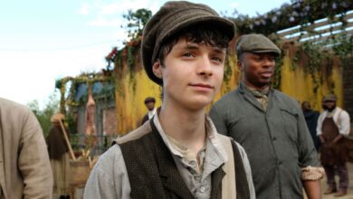 Anne with an E: The Streaming Masterclass in Book Adaptation and Period Drama