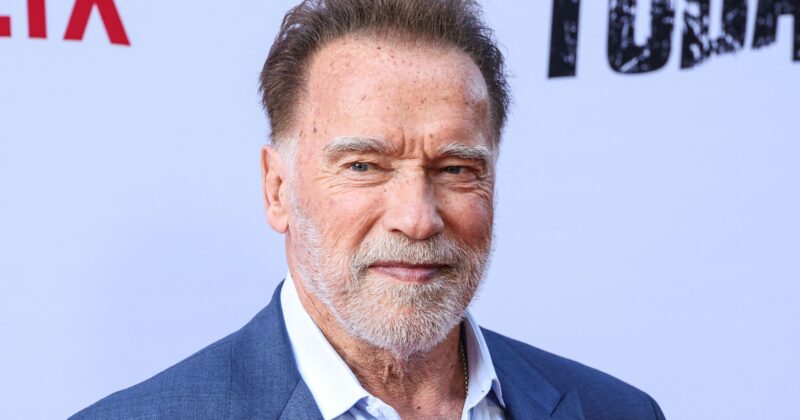 Arnold Schwarzenegger Returns as Conan: What to Expect from the New King Conan Movie