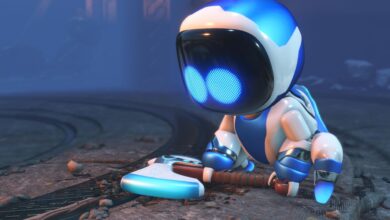 Astro Bot Unveils Limited Edition DualSense Controller Case and Red Panda Plushie: The Ultimate Collectible Drop for PlayStation Fans