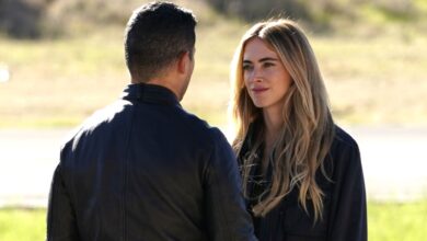 Bishop and Torres: The Unfinished Story Captivating NCIS Fans