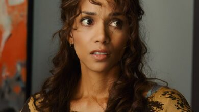 Catwoman: The DC Box Office Flop That Became a Global Streaming Hit on Netflix