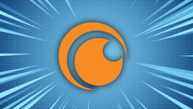 Crunchyroll Announces Key Restructuring Amid Industry-Wide Layoff Waves