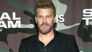 David Boreanaz Brings The Rockford Files Back: First Insights from James Garner’s Daughter