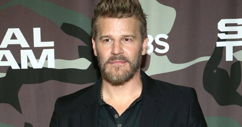 David Boreanaz Brings The Rockford Files Back: First Insights from James Garner’s Daughter