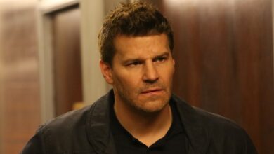 David Boreanaz Revives The Rockford Files: A Fresh Spin On a Cult Detective Classic