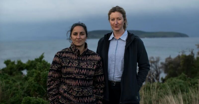 Deadloch: The Razor-Sharp Detective Comedy Setting a New Benchmark on Prime Video