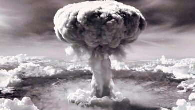 Fallout 5: Why Gamers Are Eager for an Epic, Massive RPG Return