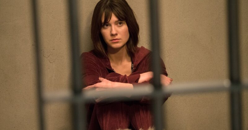 Fargo: How the Anthology Series Surpassed All Expectations