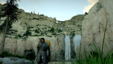 Find the Palmar Pill Crafting Manual in Crimson Desert: A Complete Guide for Survival