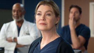 Grey's Anatomy Bids Farewell to Two Iconic Stars in Season 22 Finale